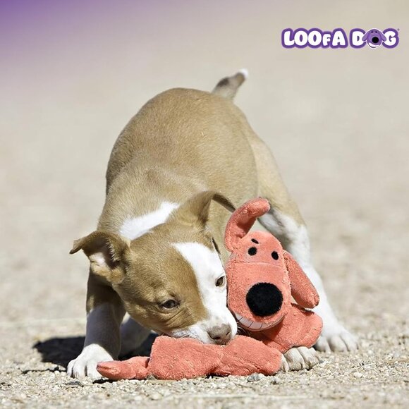 12-Inch Squeaker Mat Soft Plush Dog Toy with 13 Squeakers, Colors may vary - Picture 8 of 8